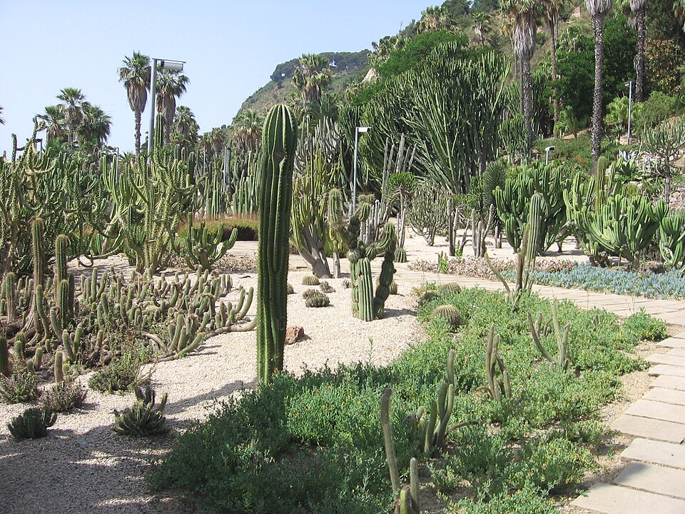 Mossèn Costa i Llobera Gardens