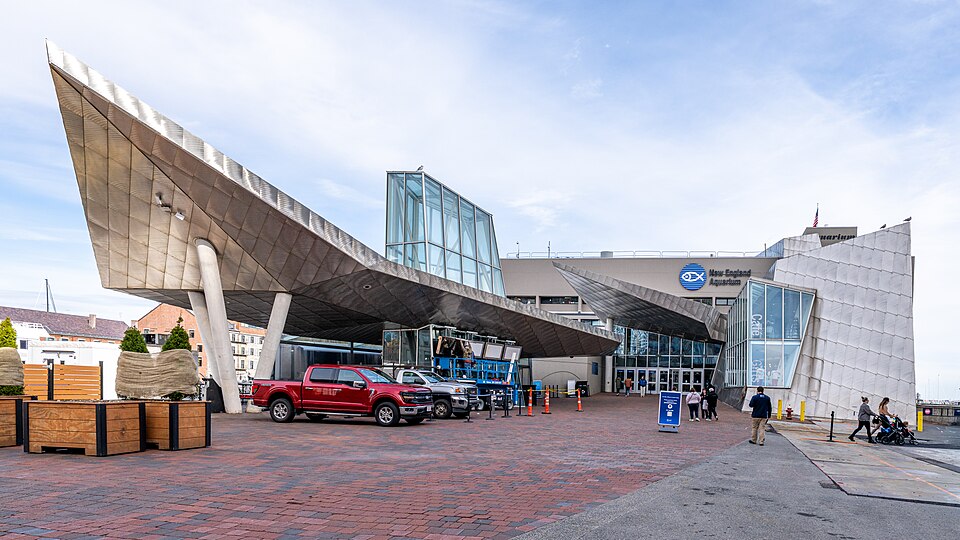 New England Aquarium