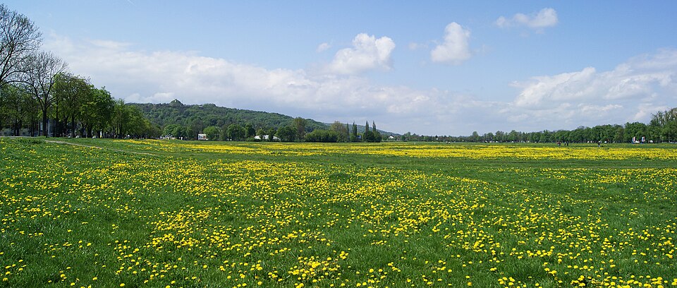Błonia