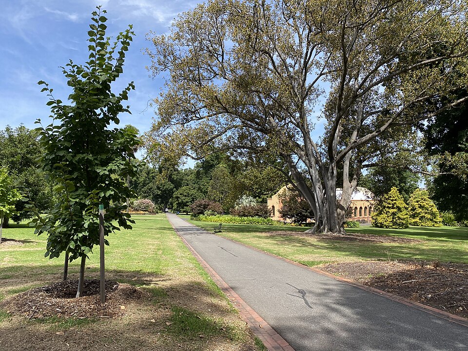 Fitzroy Gardens