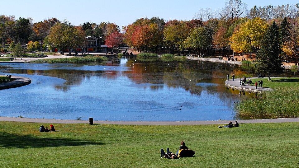 Beaver Lake (Montreal)