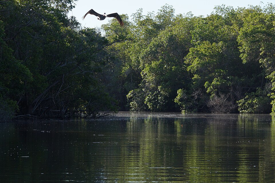 Laguna de Manialtepec