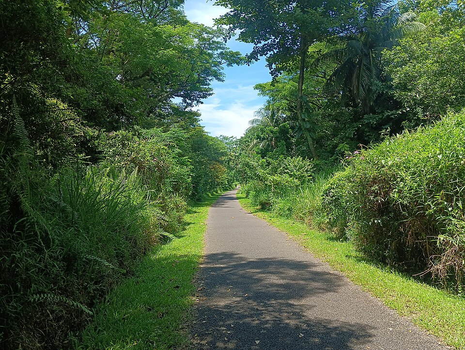Rail Corridor (Singapore)
