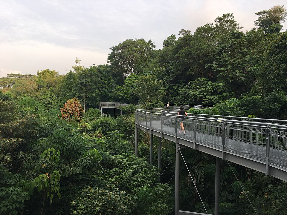 Southern Ridges