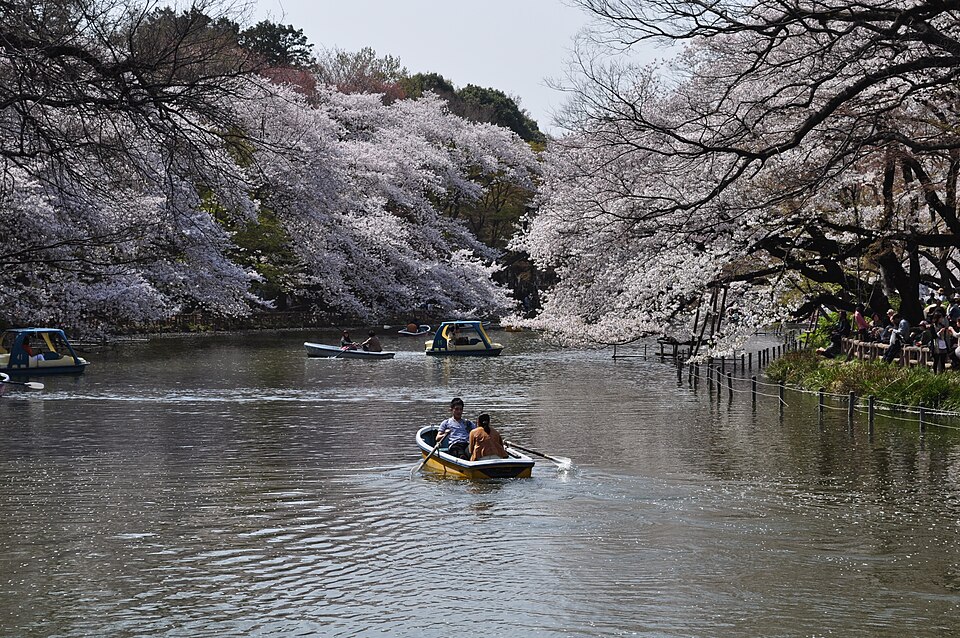 Inokashira Park