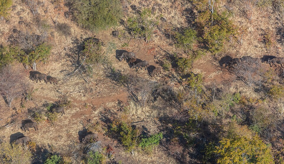 Mosi-oa-Tunya National Park